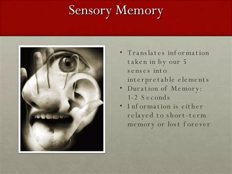 Image result for Memory Store Atkinson-Shiffrin