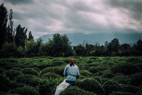 Breadth First Search Shortest Path に対する画像結果