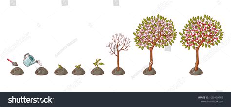 Image result for Tree-Planting Step Icon