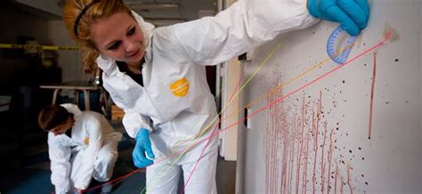 Image result for Show for Forensic Blood Spatter