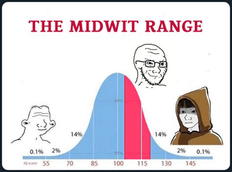 Image result for Midwit vs Genius