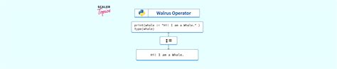 Python Walrus に対する画像結果