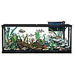 PetSmart 125 Gallon Aquarium に対する画像結果