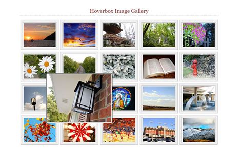 Image result for CSS Gallery Example