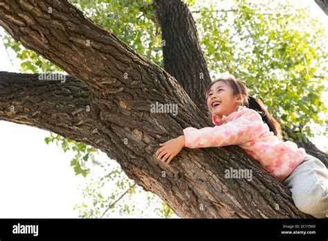 Image result for Happy Girl in Tree