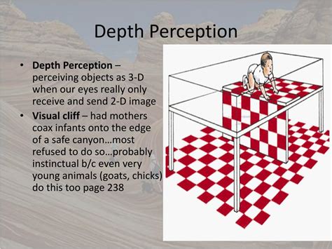 Image result for Depth Perception Test Printable