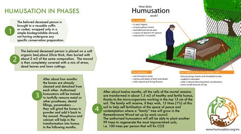 Image result for Formation of Humus in Compost
