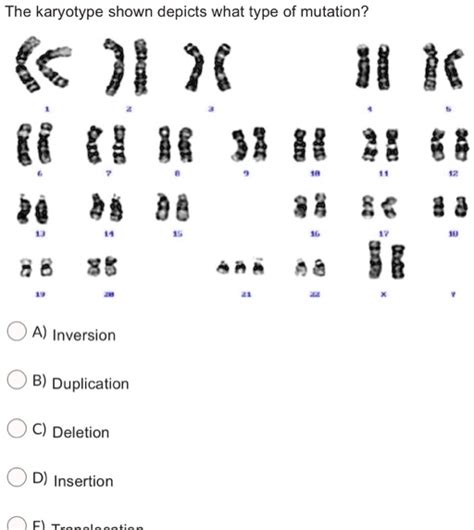 Image result for Chat Bot UI React Native