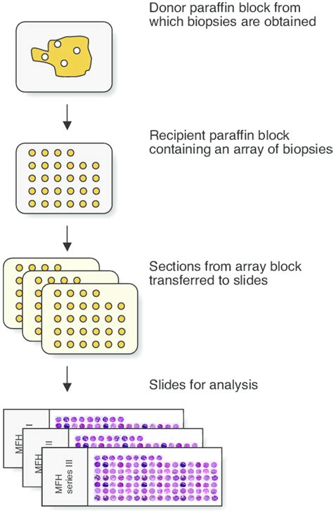 Image result for Microarray Technique