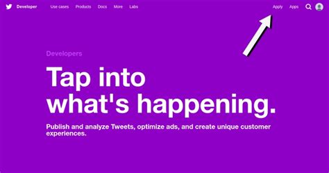 Image result for Twitter Developer Account Creation Sample Screenshot