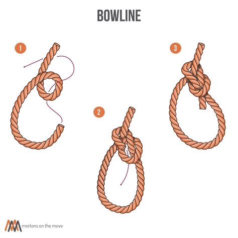 Image result for Bowline Knot Diagram