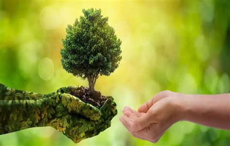 Toradh íomhá ar Eco Map of Agency