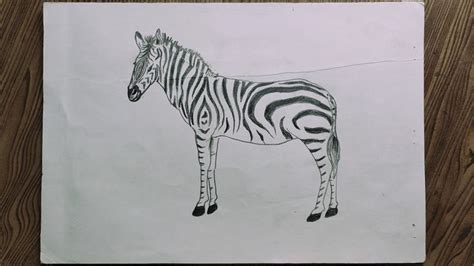 Image result for Zebra Drawing Easy Step by Step