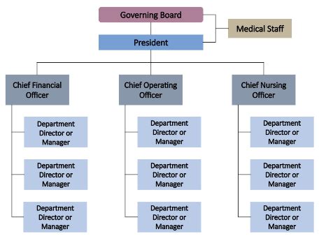 Image result for Hospital Committee Structure