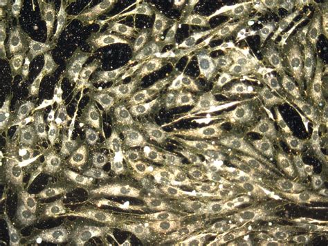 Image result for How Is Dry Ice Made