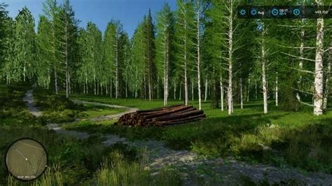 Image result for FS22 Forestry Map