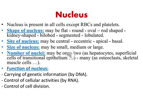 Image result for Cell Nucleus Structure and Function