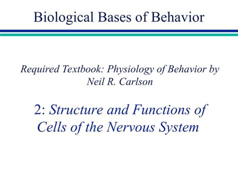 Image result for Nervous System Structure and Function