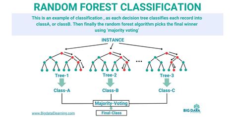 Image result for Random Forest Classification Algorithm