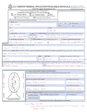 Image result for How to Fill a Passport Form
