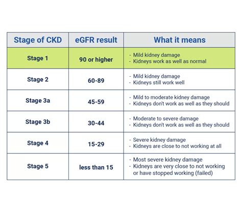 Afbeeldingsresultaten voor CKD Stage 1 GFR