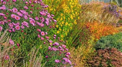Image result for Fall Color Planting