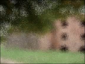 Toradh íomhá ar Diffuse Effect