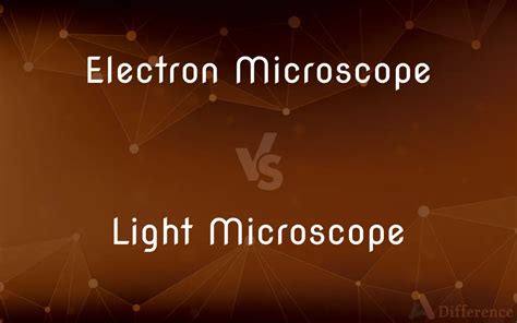 Light Microscope vs Electron Microscope Cells に対する画像結果