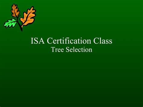 Image result for Tree Slection