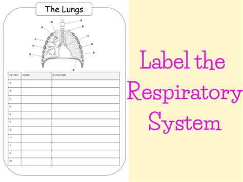 Afbeeldingsresultaten voor Label Computer System for Kids