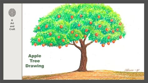 Image result for Apple Tree Directed Drawing
