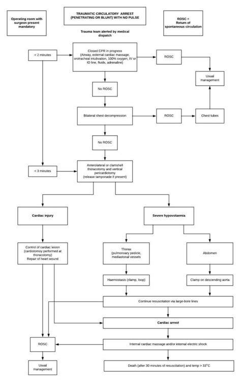 Atls Traumatic Arrest Algorithm に対する画像結果
