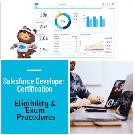 Image result for Salesforce Developer Acknowledgement