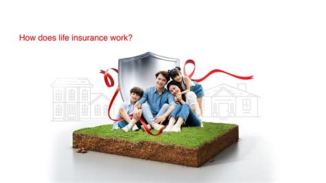 Image result for How Does Life Insurance Work
