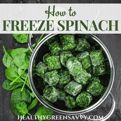 Image result for How to Freeze Spinach Leaves