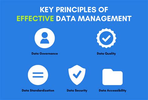 Image result for Data Management Practices and Principles