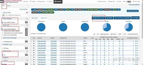 Toradh íomhá ar Copy-Number Variation