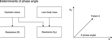 Image result for Phase Angle
