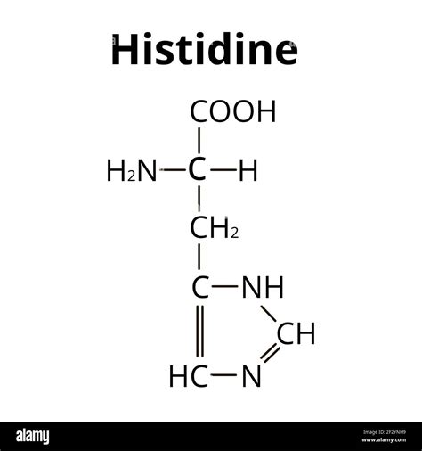 Image result for Histidine Amino Acid Structure