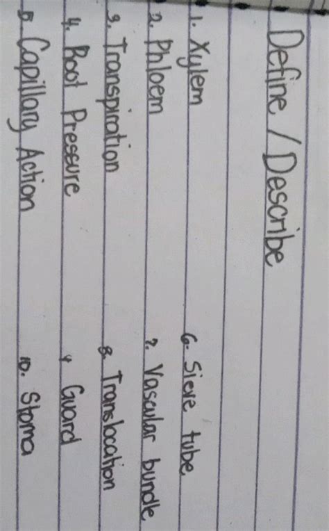 Toradh íomhá ar Capillary Action Transpiration