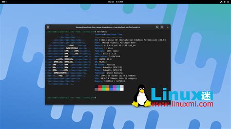 Image result for Gnome Linux Distro