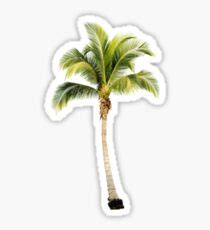Bildergebnis für Small Palm Tree Stickers