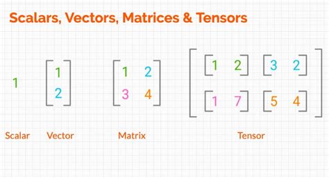 Image result for Vector Lineal