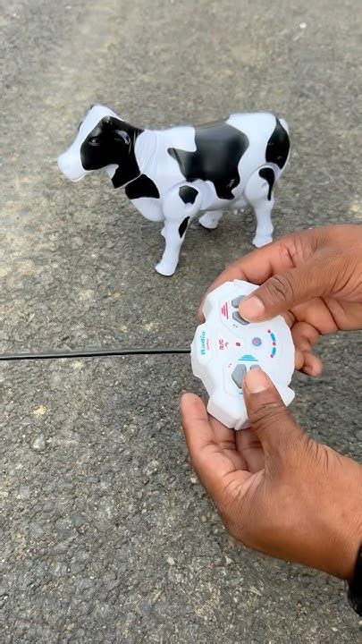 Image result for Wireless Remote Control Cow Sound