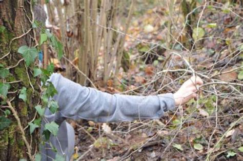 Oal Tree Next to a Human に対する画像結果