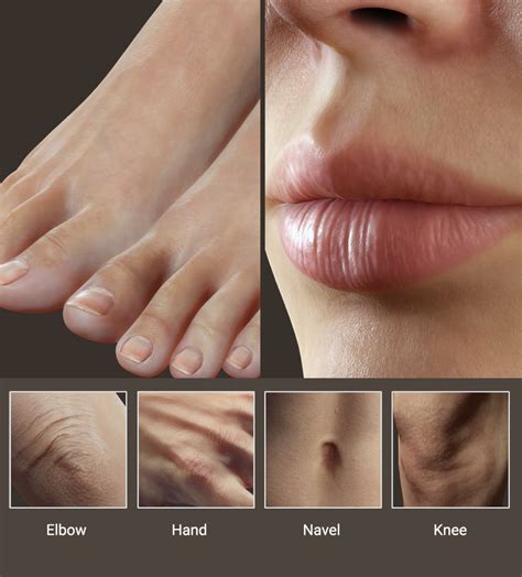 Image result for Human Torso 3D Skin Texture