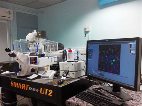 Imaging Microscope Workhsop に対する画像結果