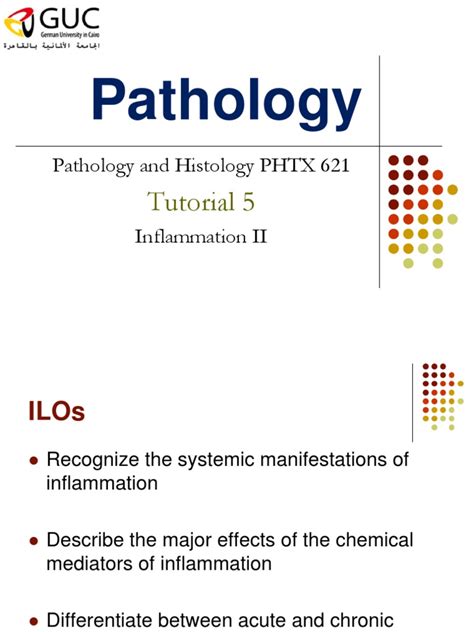 Image result for Pathology Tutorials