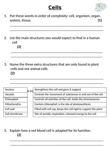 Image result for 7th Grade Cell Structure Worksheet