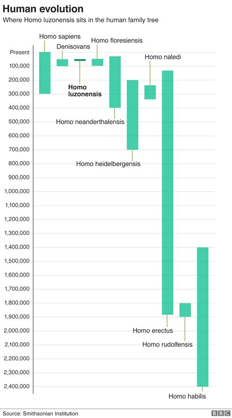 Human Backbone Evolution Chart に対する画像結果